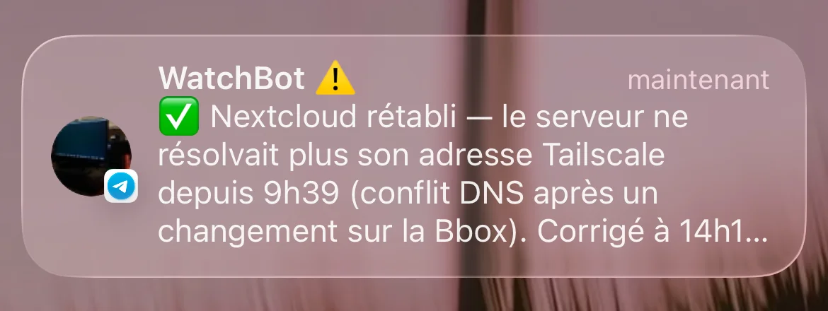 Notification Telegram du robot de surveillance : Nextcloud rétabli, le serveur ne résolvait plus son adresse Tailscale depuis 9 h 39 à la suite d'un conflit DNS avec la box, corrigé à 14 h